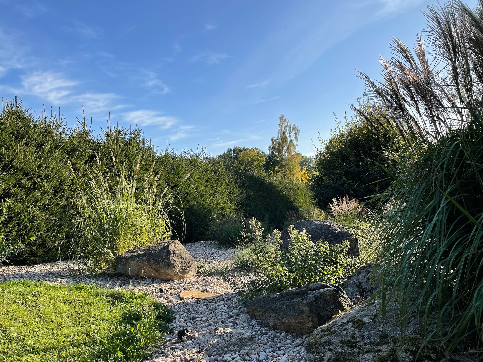 Landscaped garden with rocks and plants under a blue sky.