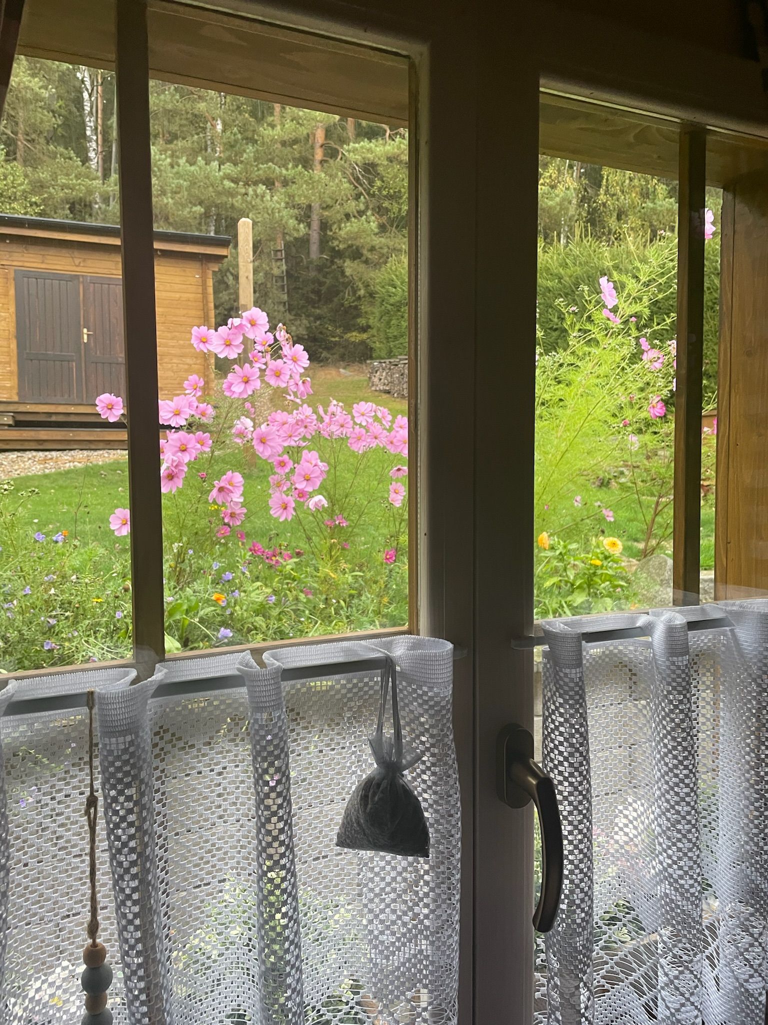 View from a window: pink flowers, green lawn, small wooden shed, trees in the background.
