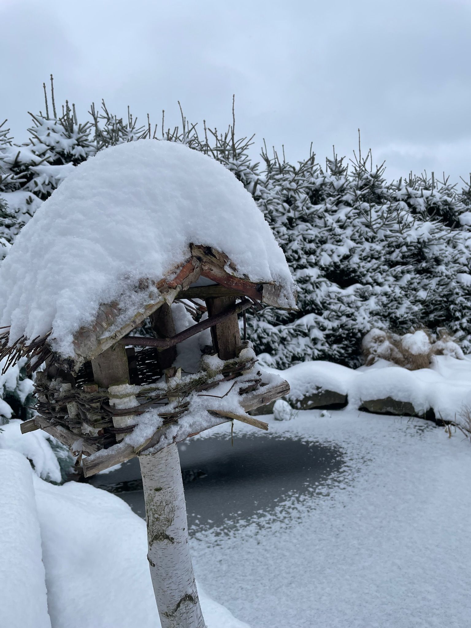 Snow-covered bird feeder in a snowy yard with evergreens in the background.