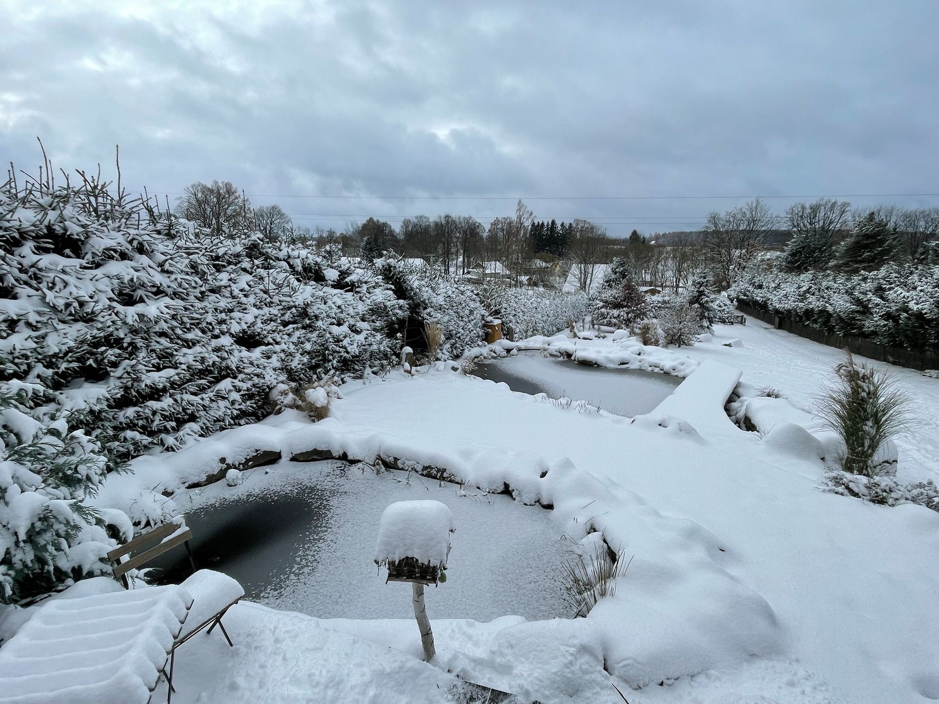 Snow-covered garden with two ponds, bushes, and trees under a cloudy sky.