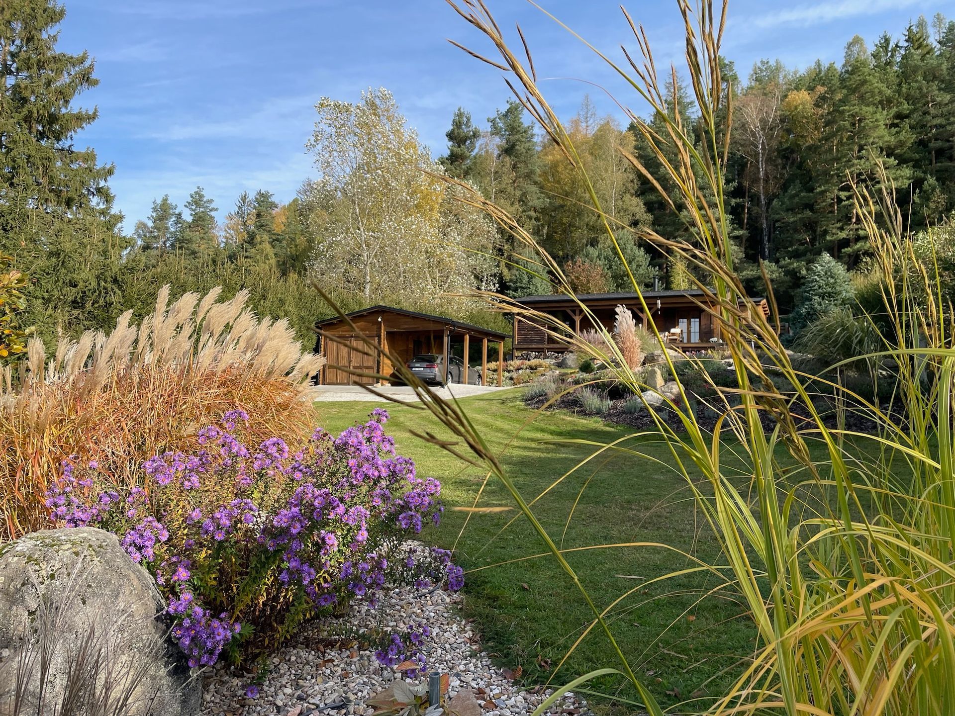 Lush garden with purple flowers, tall grasses, and cabins nestled in a forest under a blue sky.