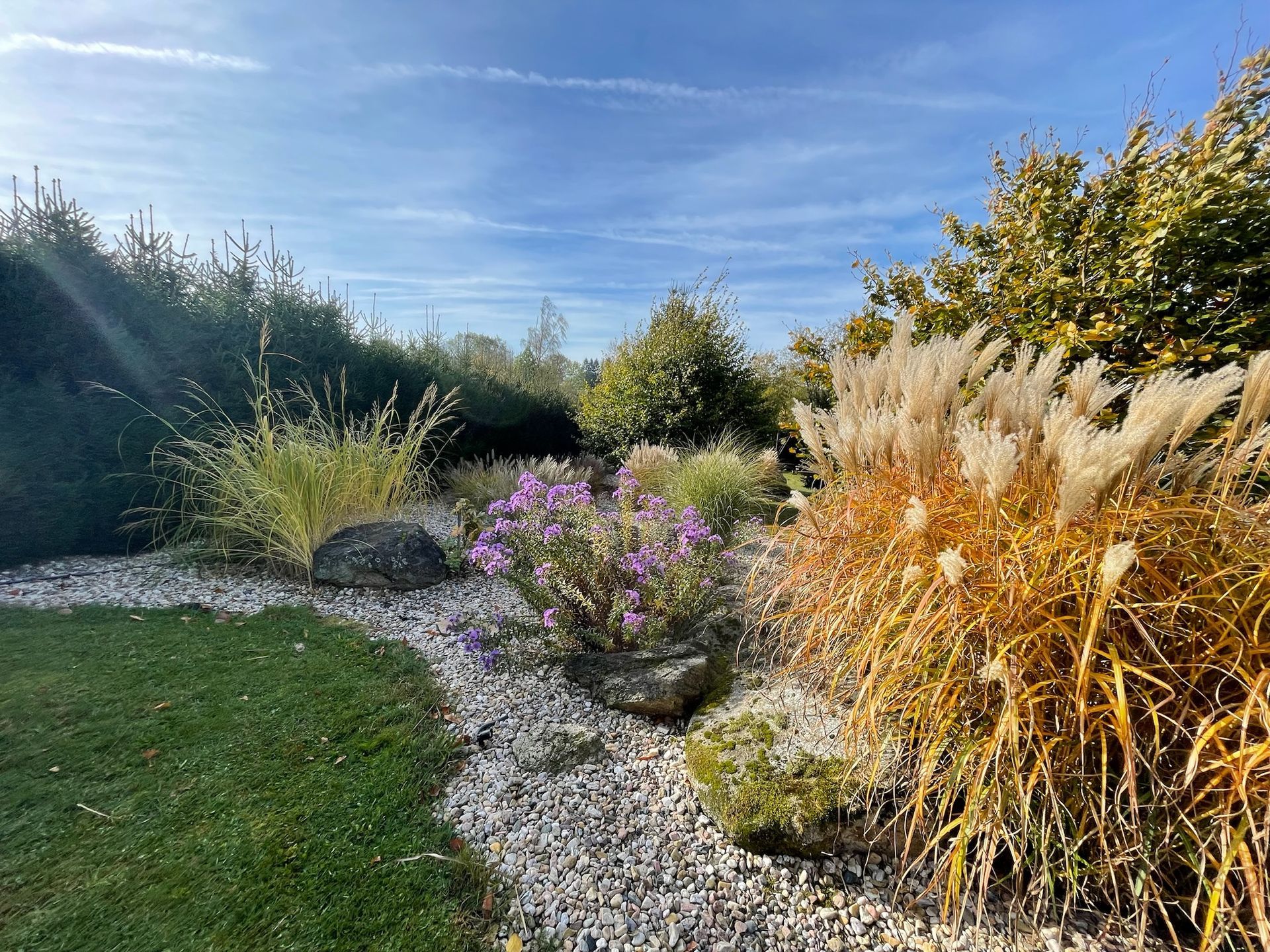 A sunny garden scene with ornamental grasses, purple flowers, and gravel paths under a blue sky.