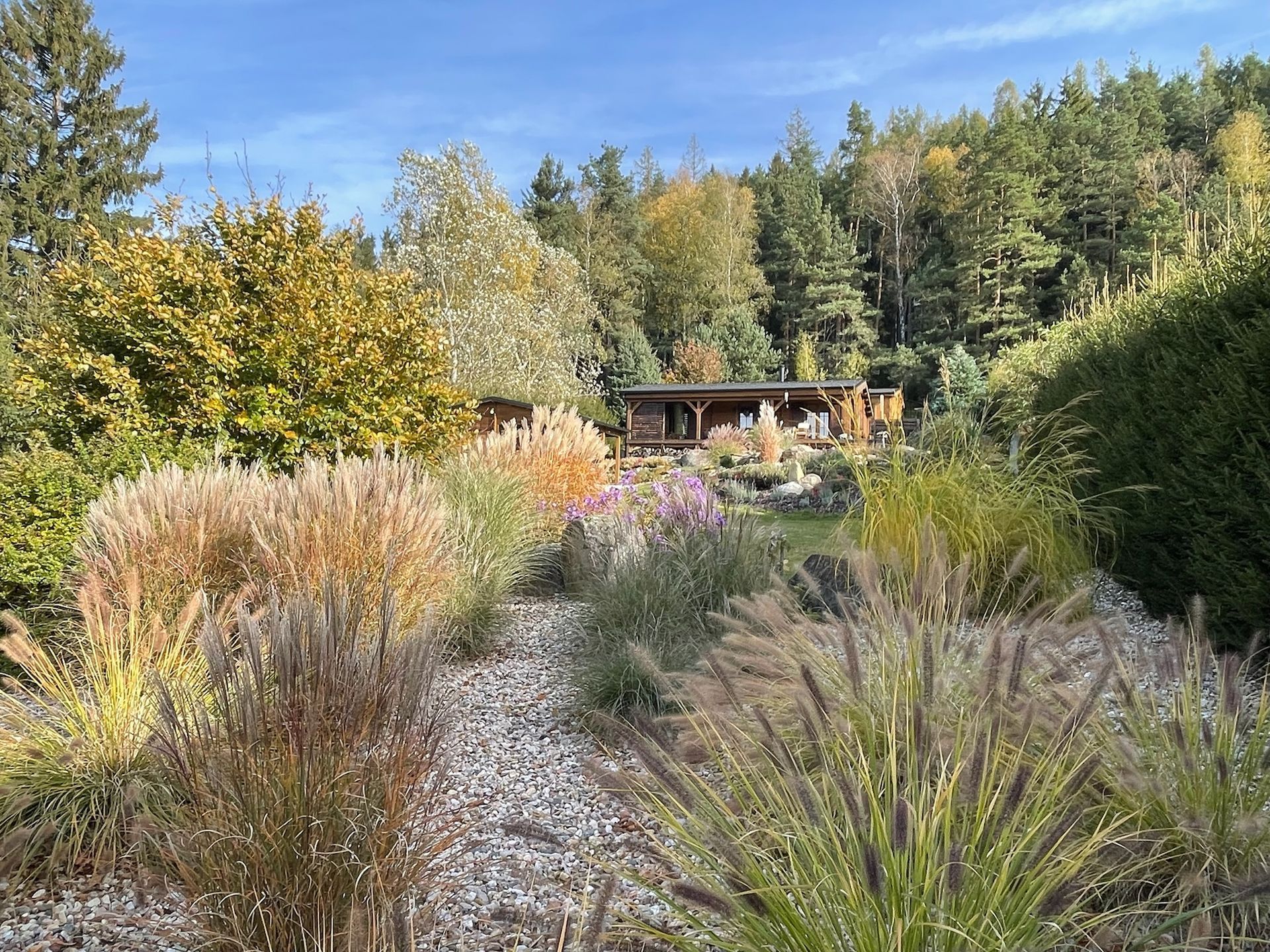 A colorful garden with ornamental grasses, flowers, and trees, leading to a small cabin in the background.