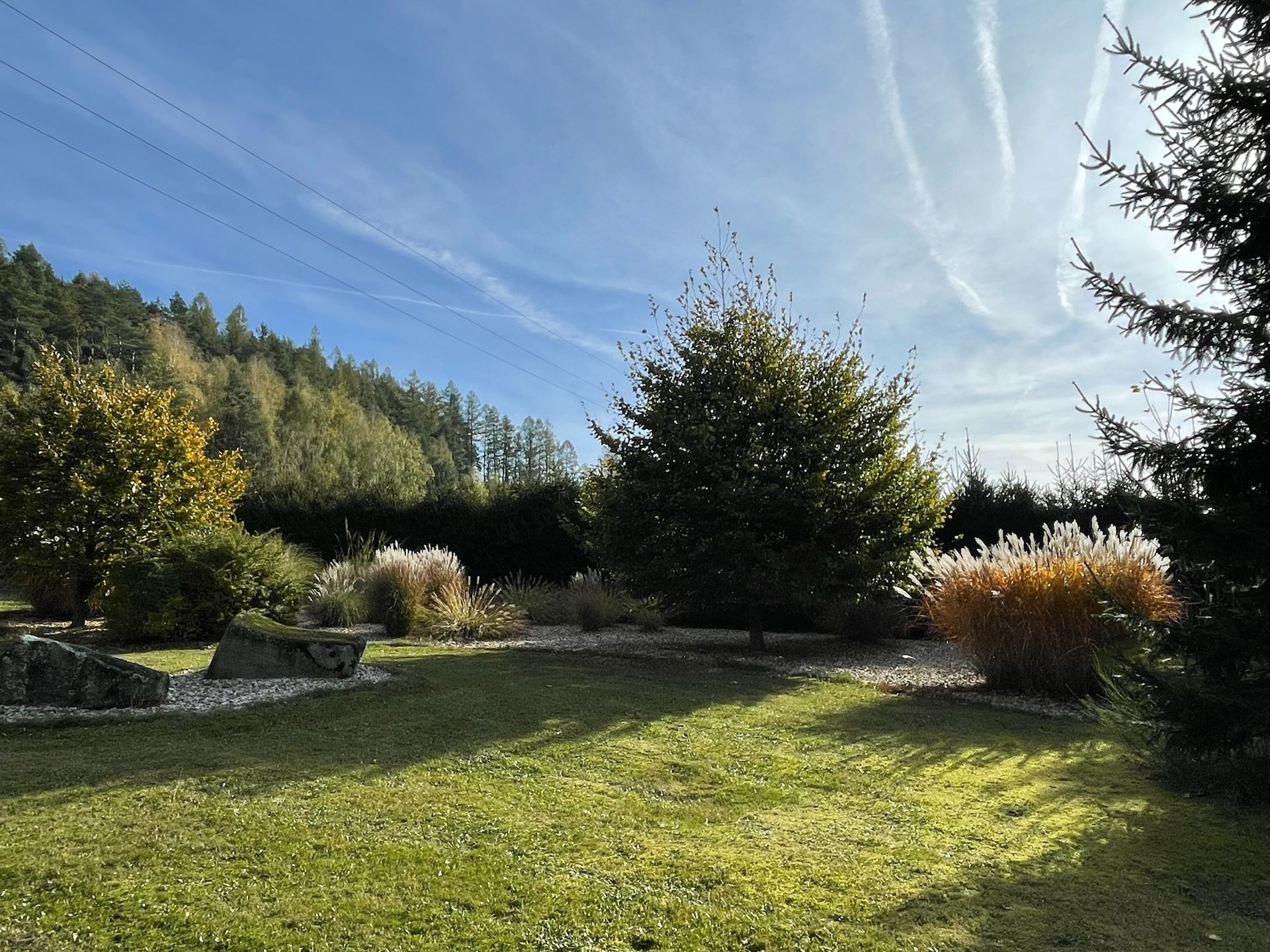 Lush green lawn with various plants under a sunny, blue sky. Trees and a forest line the background.