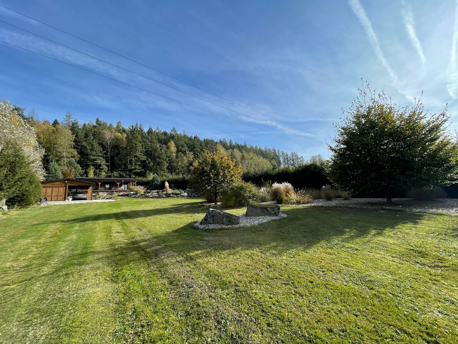 Grassy yard with trees and a shed under a blue sky. A flock of birds flies overhead.