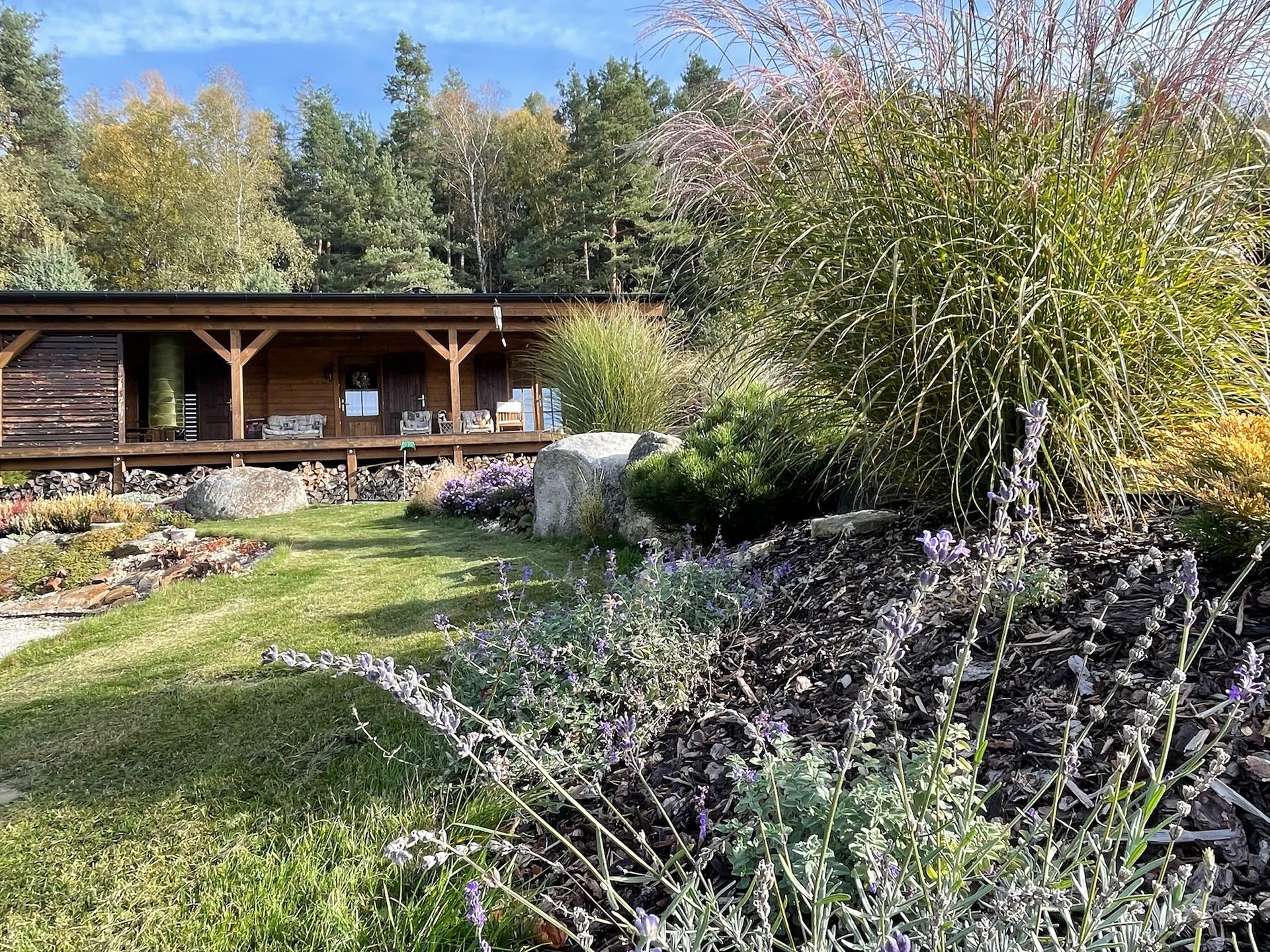 Wooden building with a garden in front, full of purple lavender and green shrubs, trees in the background.