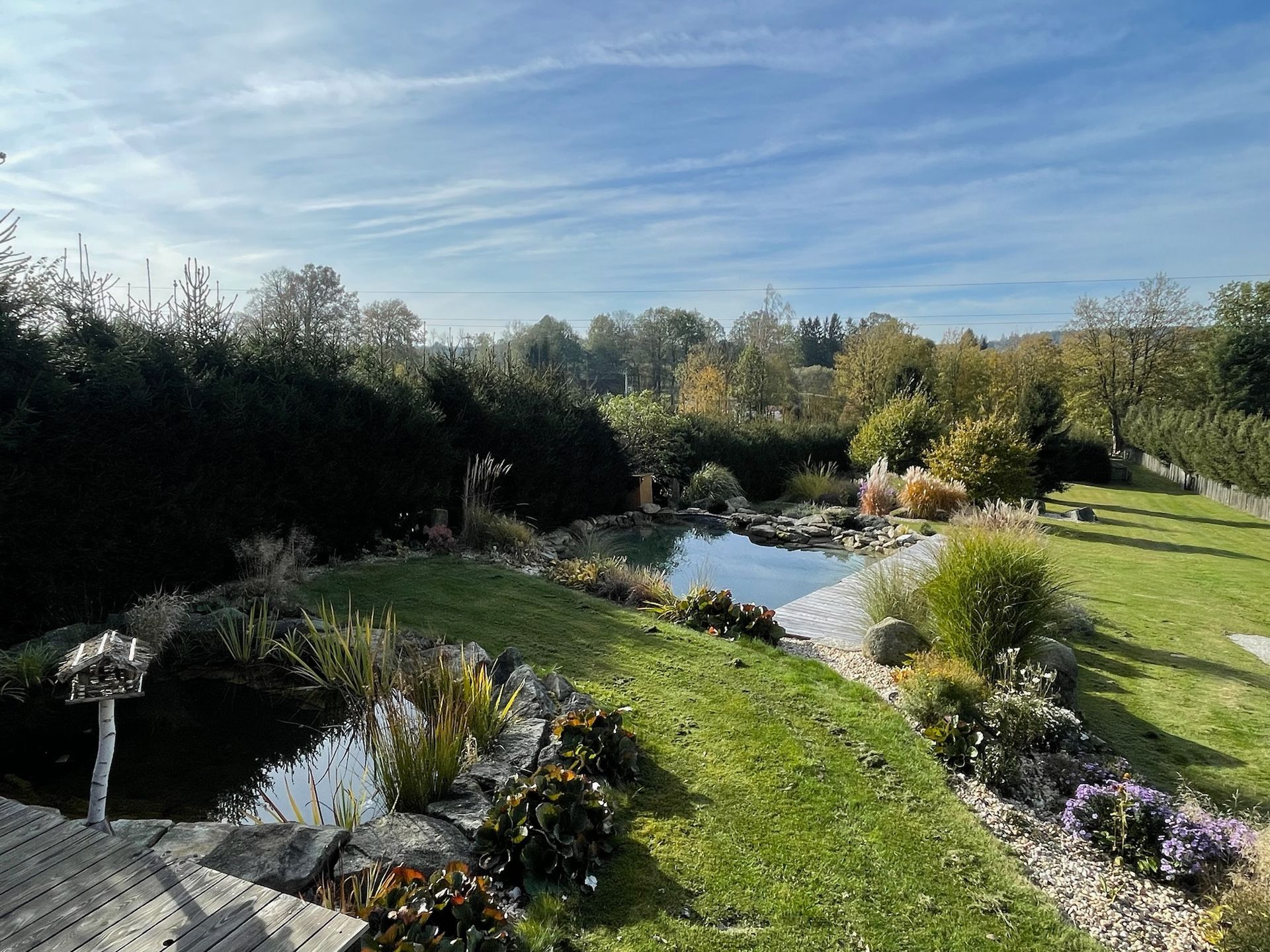 Lush backyard with pond, greenery, and blue sky. Sunny day in a tranquil garden setting.