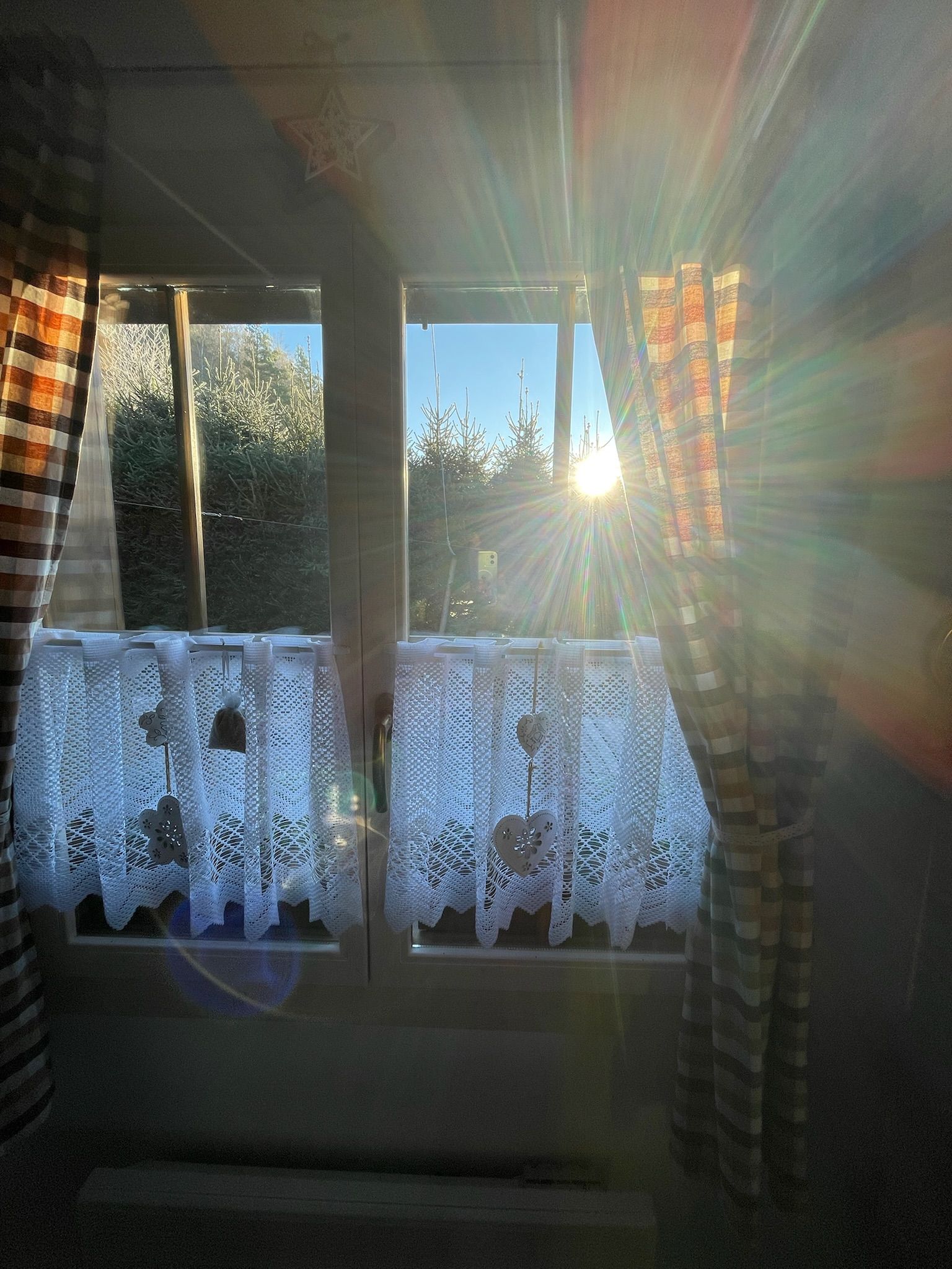 Sunlight streams through a window with sheer lace curtains, highlighting an outdoor view.