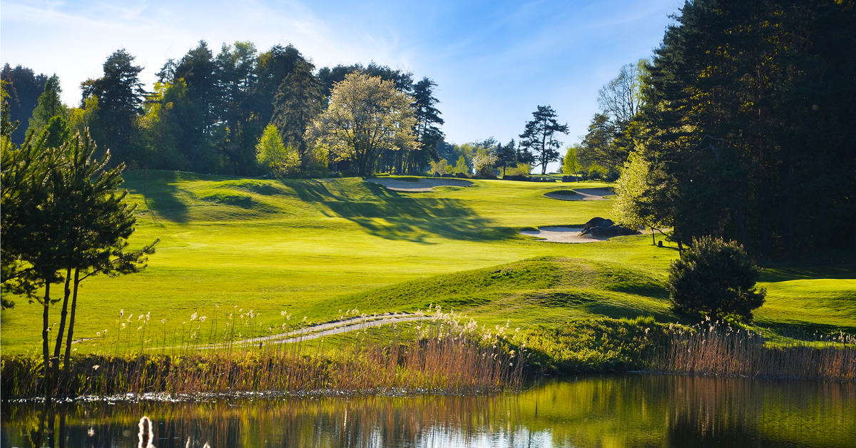 Grassy park scene with a pond in the foreground, rolling hills, trees, and a blue sky.