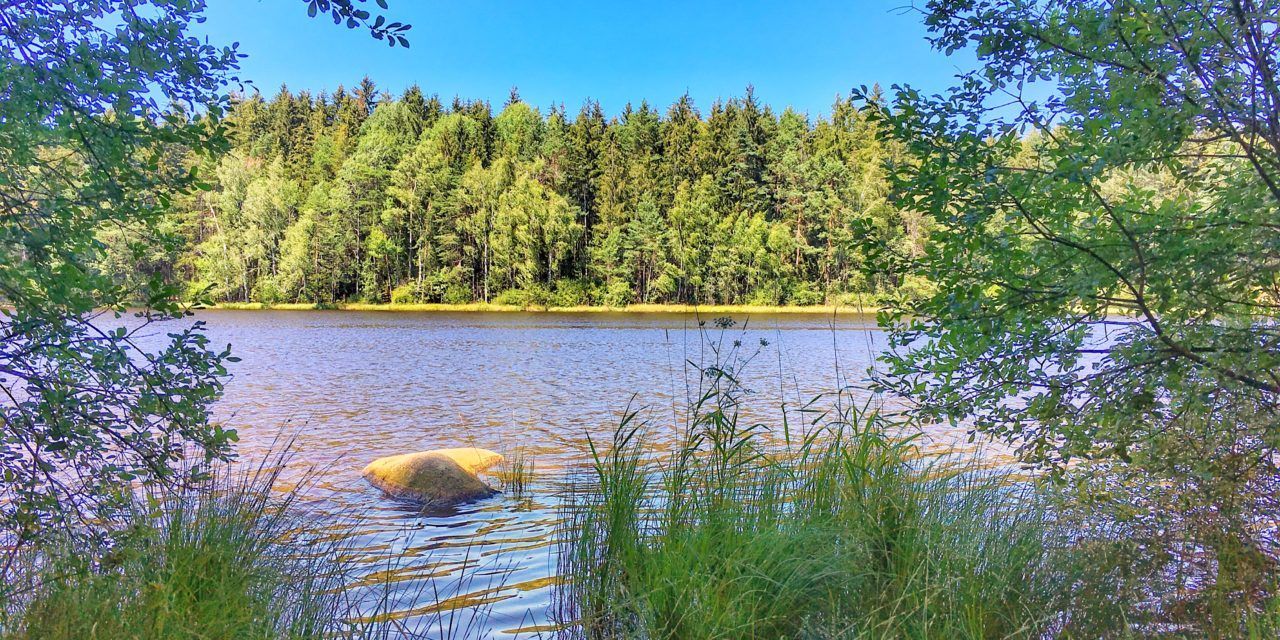 A lake framed by green foliage with a forested backdrop and a clear blue sky.