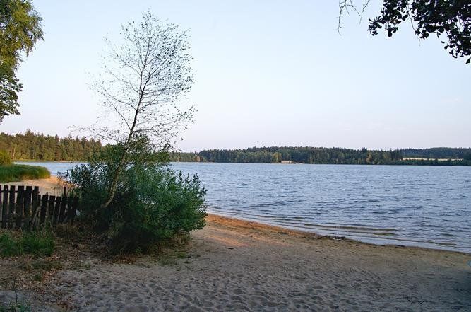 Sandy beach with a lake, trees lining the shore, and a clear sky.