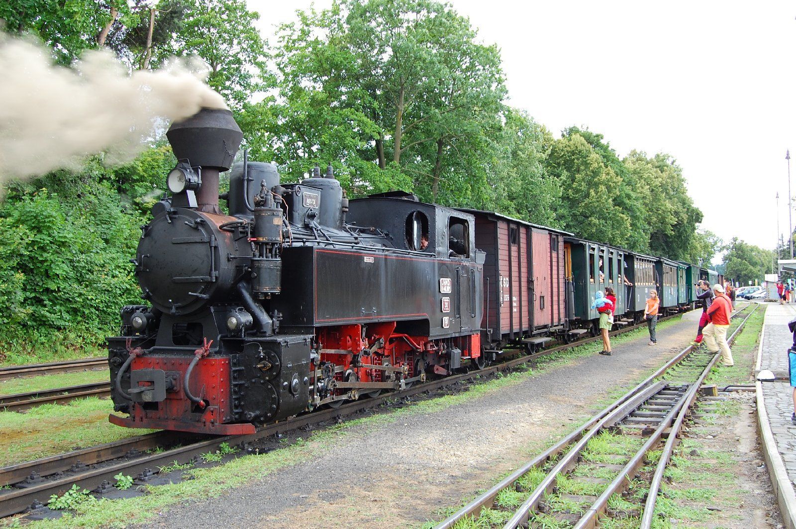 Steam locomotive pulling passenger cars on a railway track, billowing smoke, alongside a green grassy area and trees.