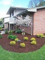 Home - Landscaping in Tarrs, PA