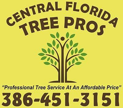 Reviews | Central Florida Tree Pros