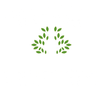 Central Florida Tree Pros