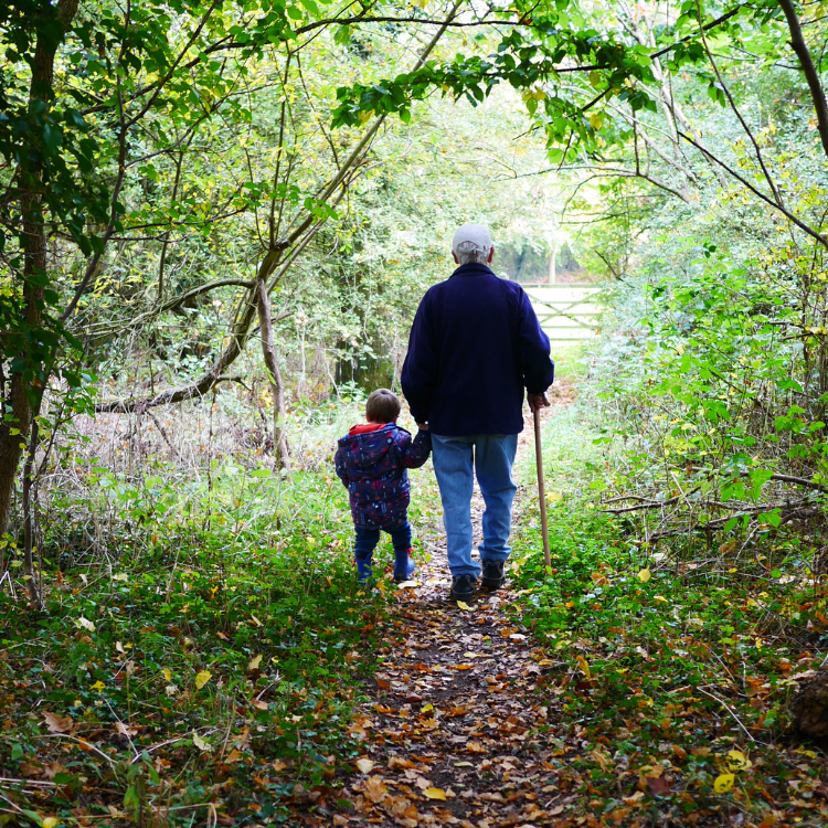 A man and a child are walking down a path in the woods