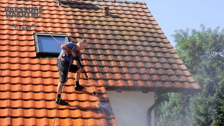skilled pressure washing professionals clean house roof in Tampa FL