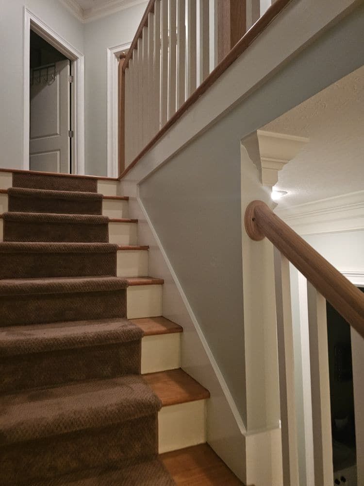 A set of stairs with brown carpet and a white railing