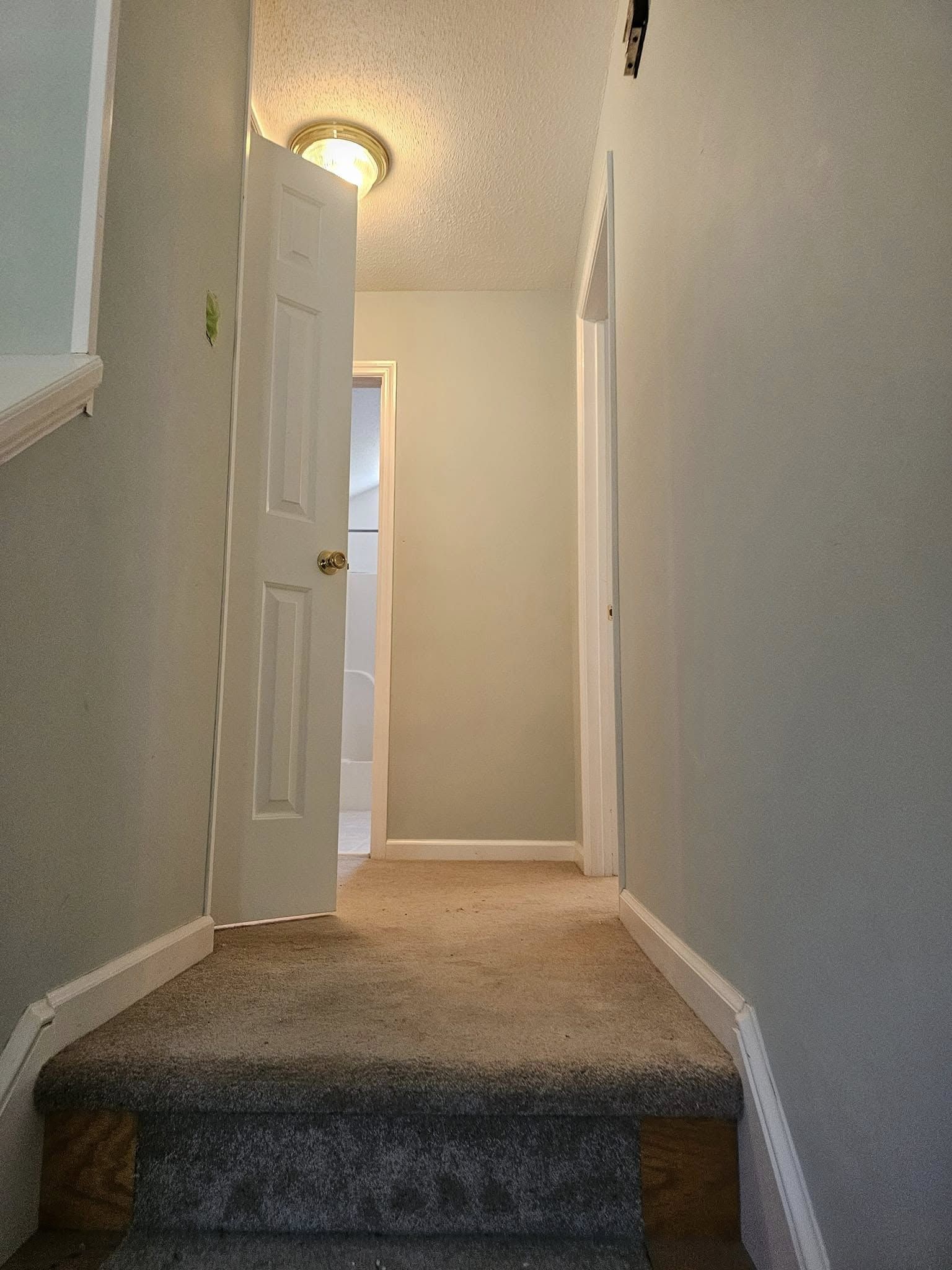 A hallway with stairs and a door in a house.