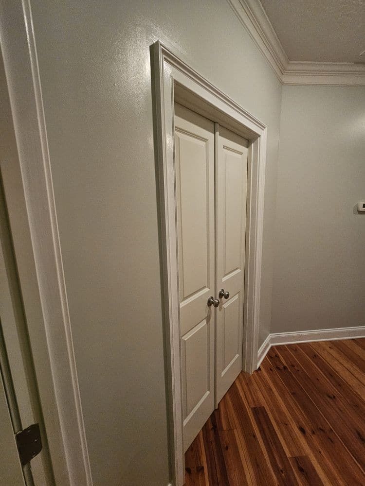 A hallway with hardwood floors and white doors in a house.