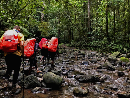 Kokoda Track hikers with backpacks wade through a shallow, rocky stream in a lush green Papua New Guinea jungle.