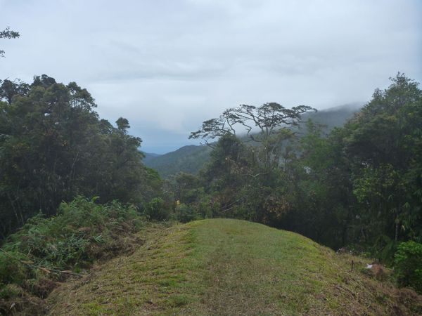 Image depicts Kokoda Gap with dense  jungle in the background and overcast day. 