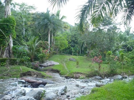 Imaged depicts the lush green rainforest along the Kokoda Track at the village of Hoi. There is a natural stream running through the village with tropical palms and flowers in the surrounds. 