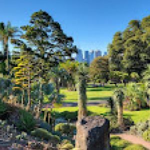 Picture of the Royal Botanic Gardens Melbourne, showing brown paths and greenery with the city skyscrapers in the background.