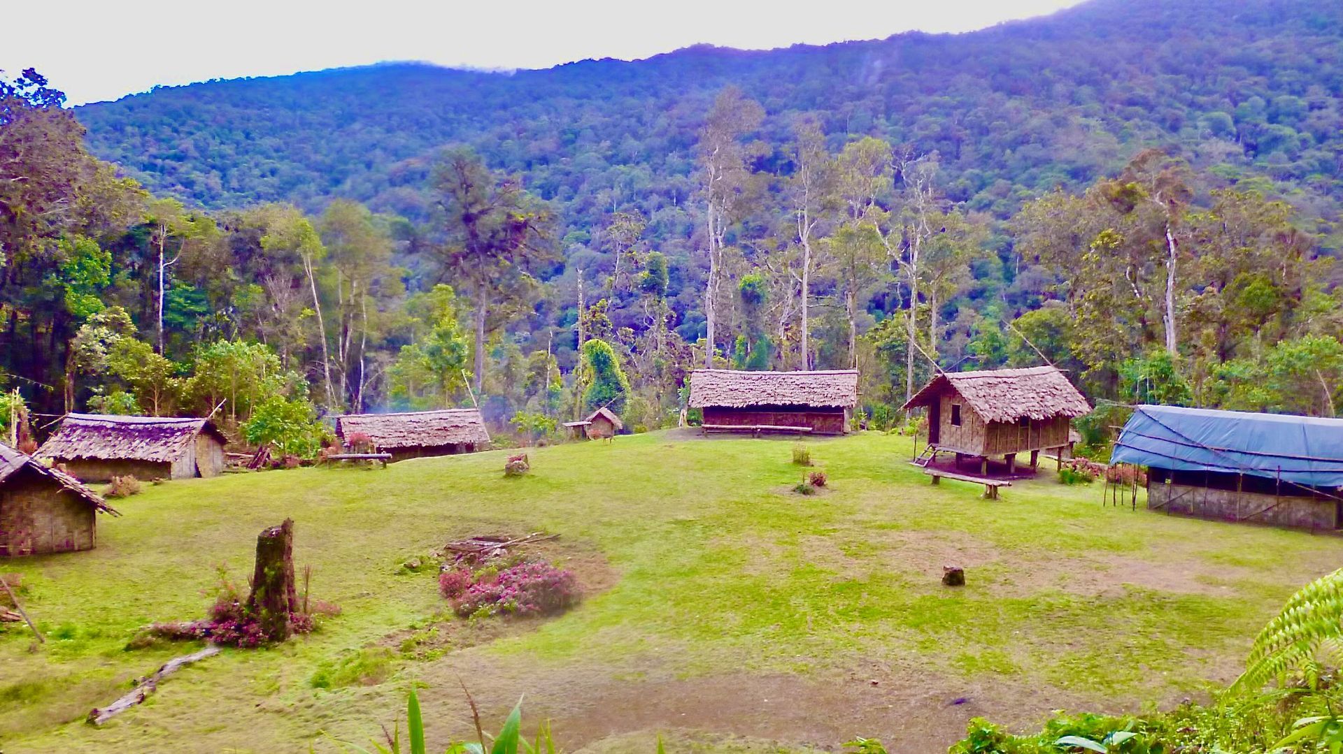 Image depicts a lush green plateau with 6 guest houses made out of local time and thatched roofing. The campsite is called Templeton's Crossing. 