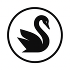 Black Swann Consultancy