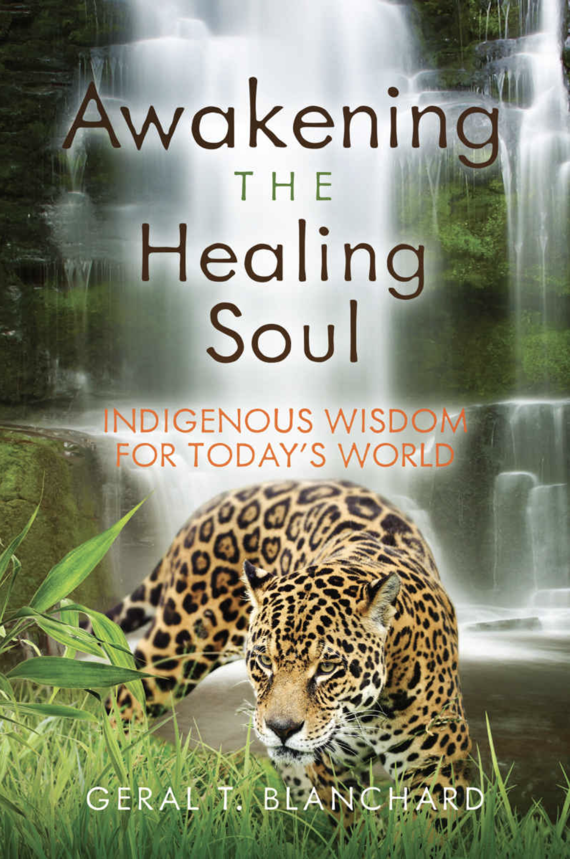 Awakening the Soul Book Cover