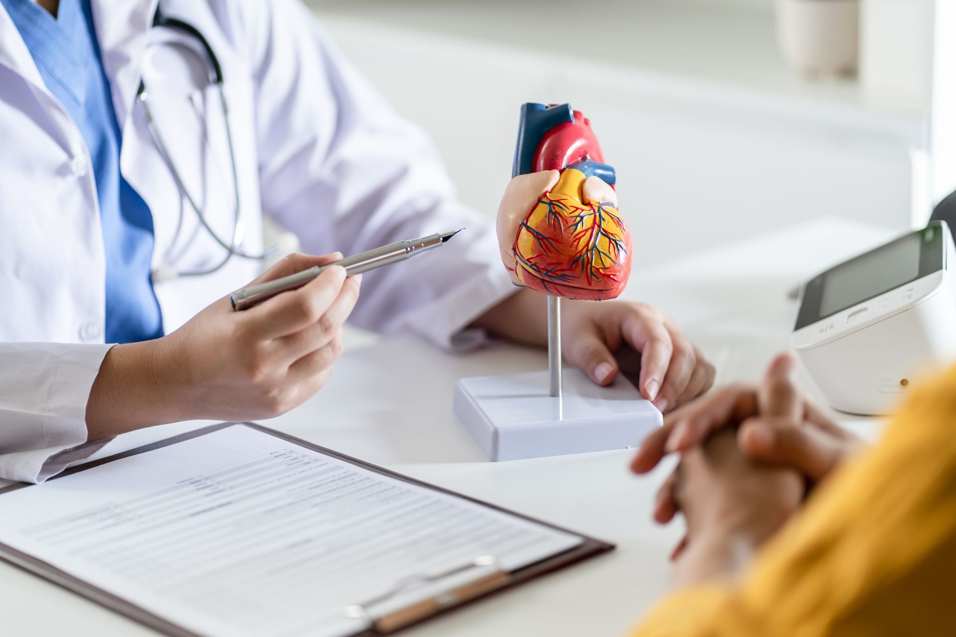 Doctor explaining heart anatomy using a detailed model during a medical consultation.