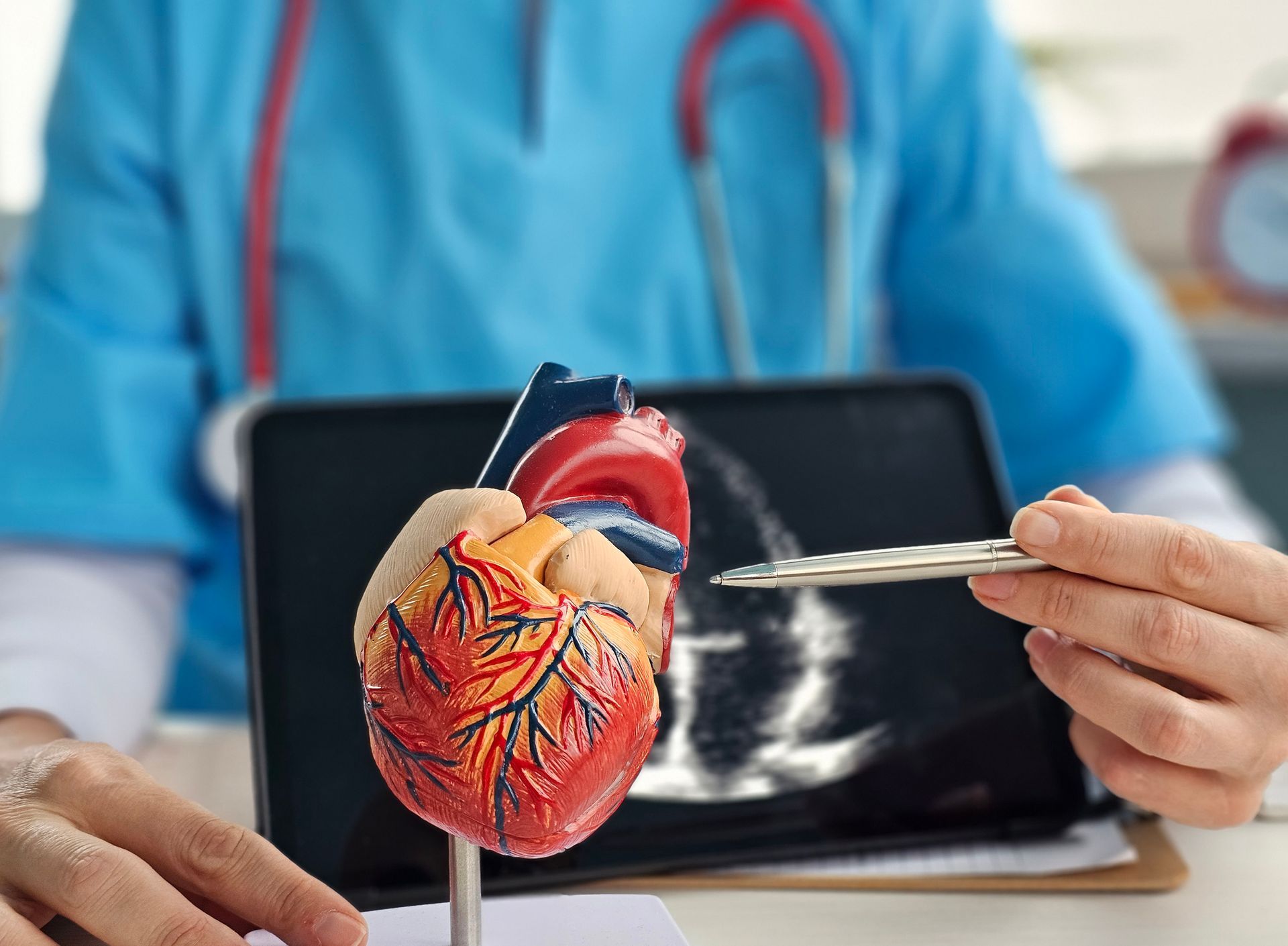 Doctor explaining heart anatomy using model during patient consultation on cardiovascular health concept