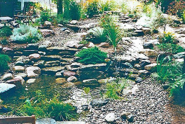 Pond — Public Fish Pond in Midland, MI