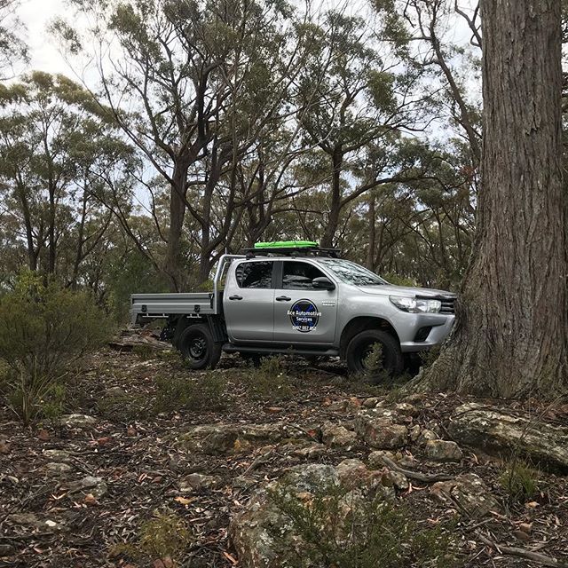 Car In The Forest — Mechanical Services in Moss Cake, NSW