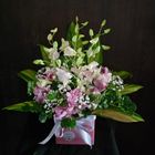 A pink box filled with pink and white flowers and greenery. — Greenfield Blooms and Gifts In Wanguri, NT