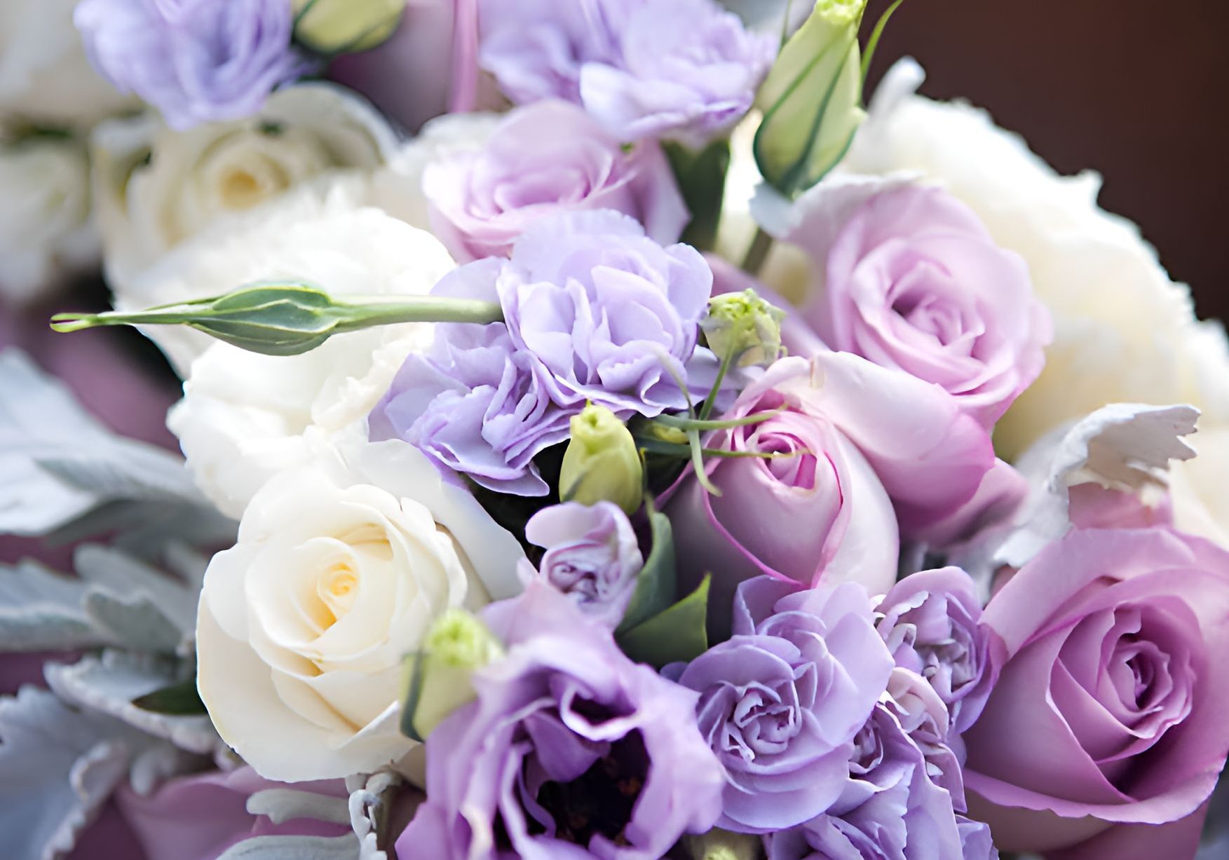 A Close Up of a Bouquet of Purple and White Flowers — Greenfield Blooms and Gifts In Wanguri, NT