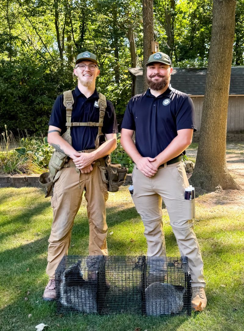 Syracuse, IN wildlife control, exclusion, and removal team.