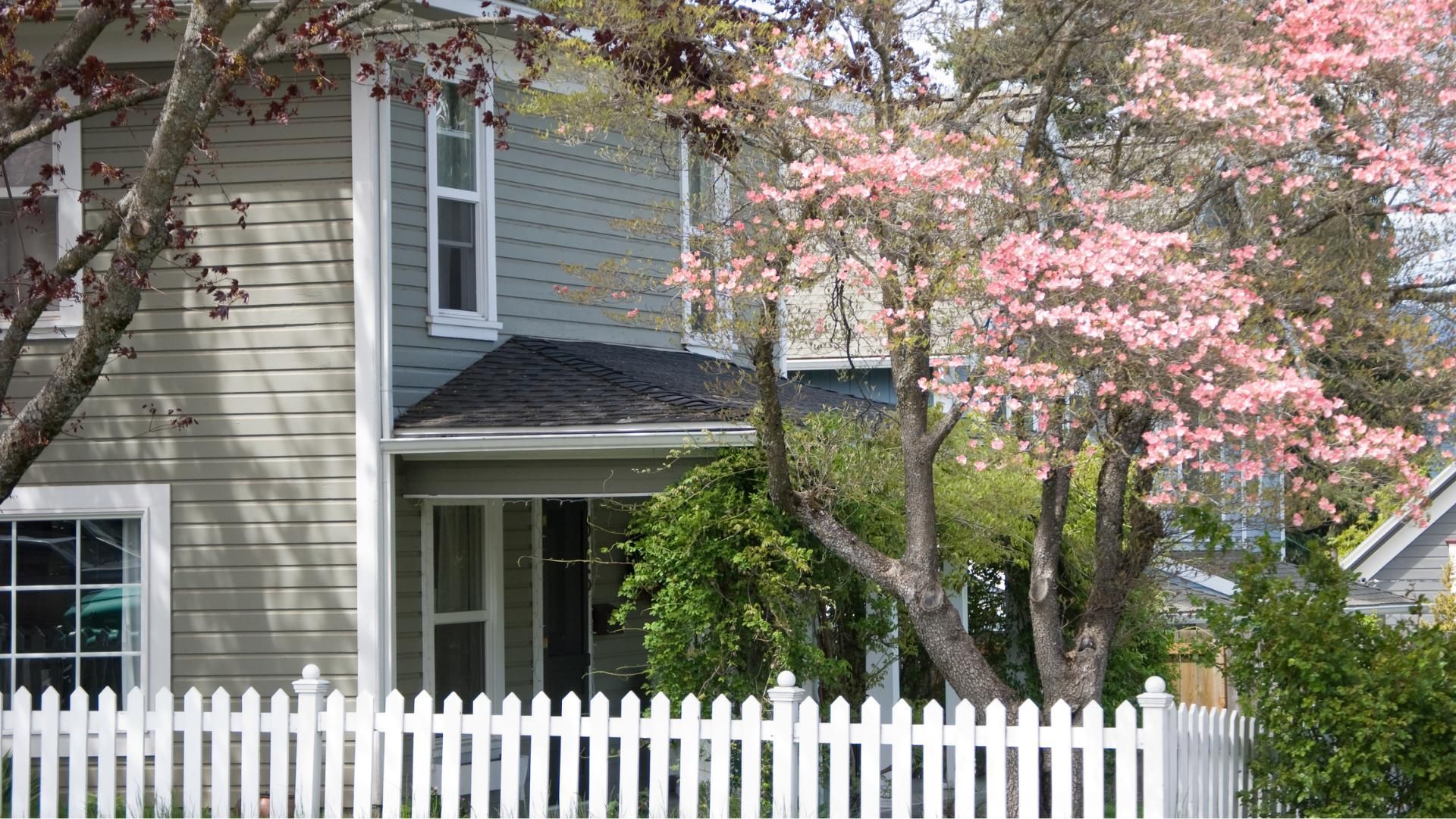 Spring home pest prevention guide.