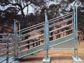 Standard Adjustable Cattle Ramp