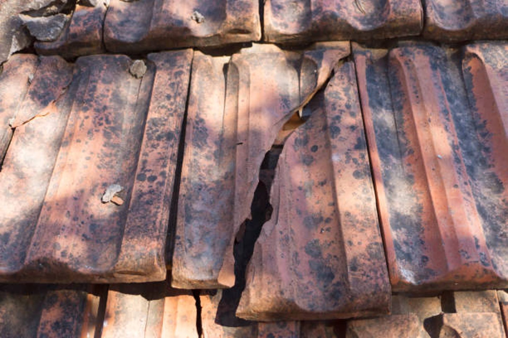 Close-up of weathered red clay roof tiles, one cracked.