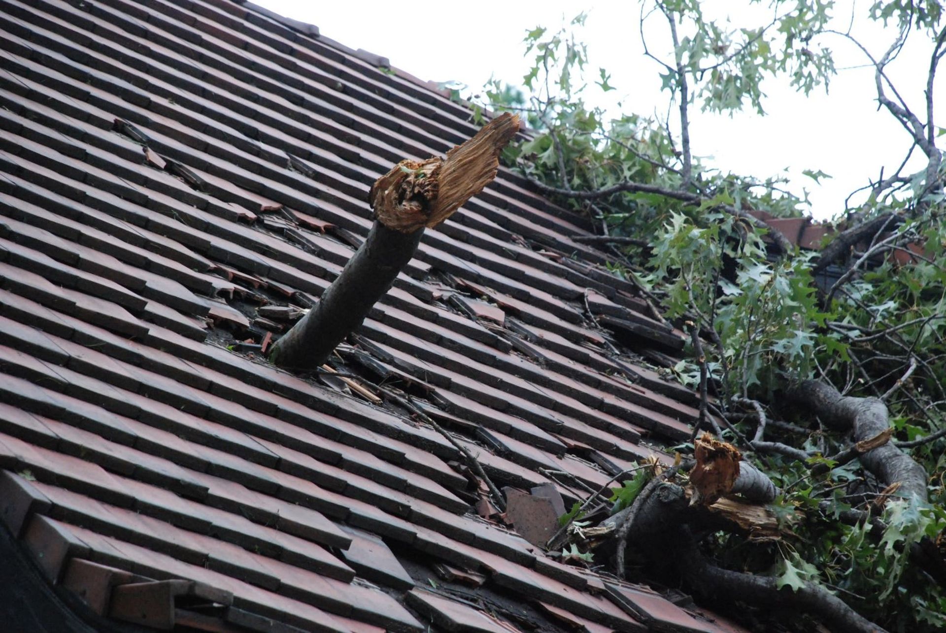 Tree branch lodged in a roof, damaging tiles.