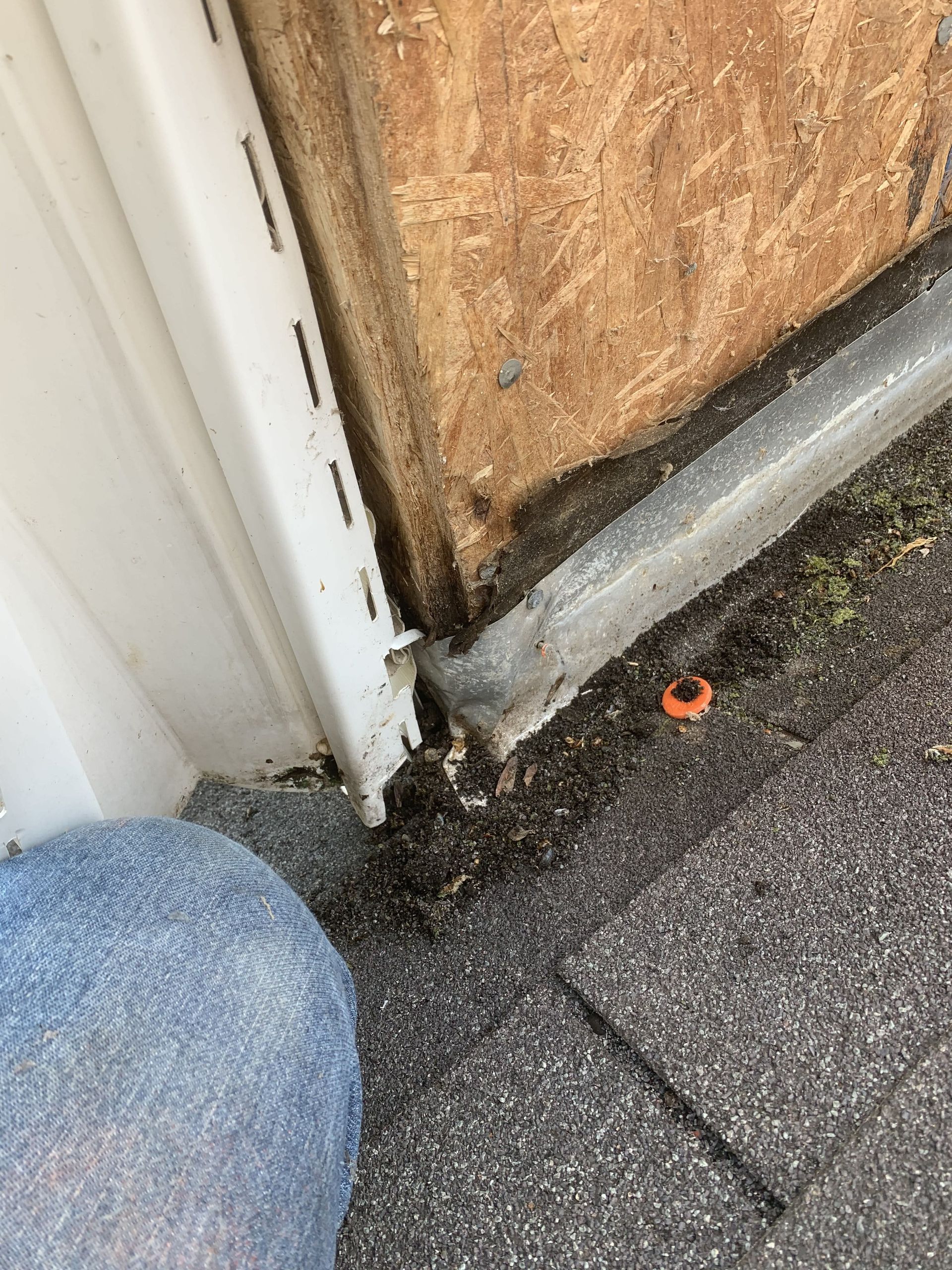 Close-up of exterior wall with siding, roofing, and a gutter, showing possible water damage.