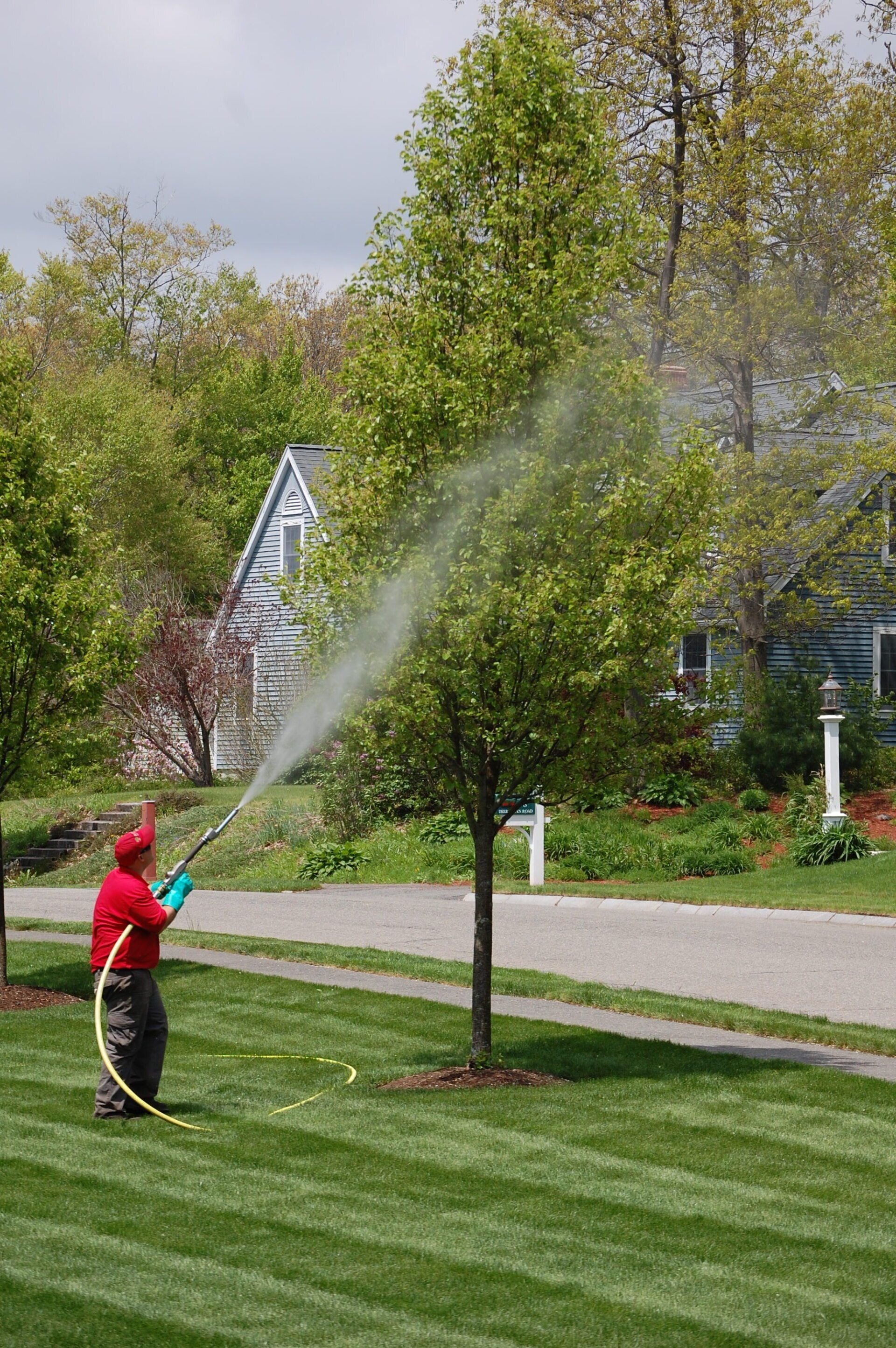 Business Crane — South Hamilton, MA — Dodge Tree Service