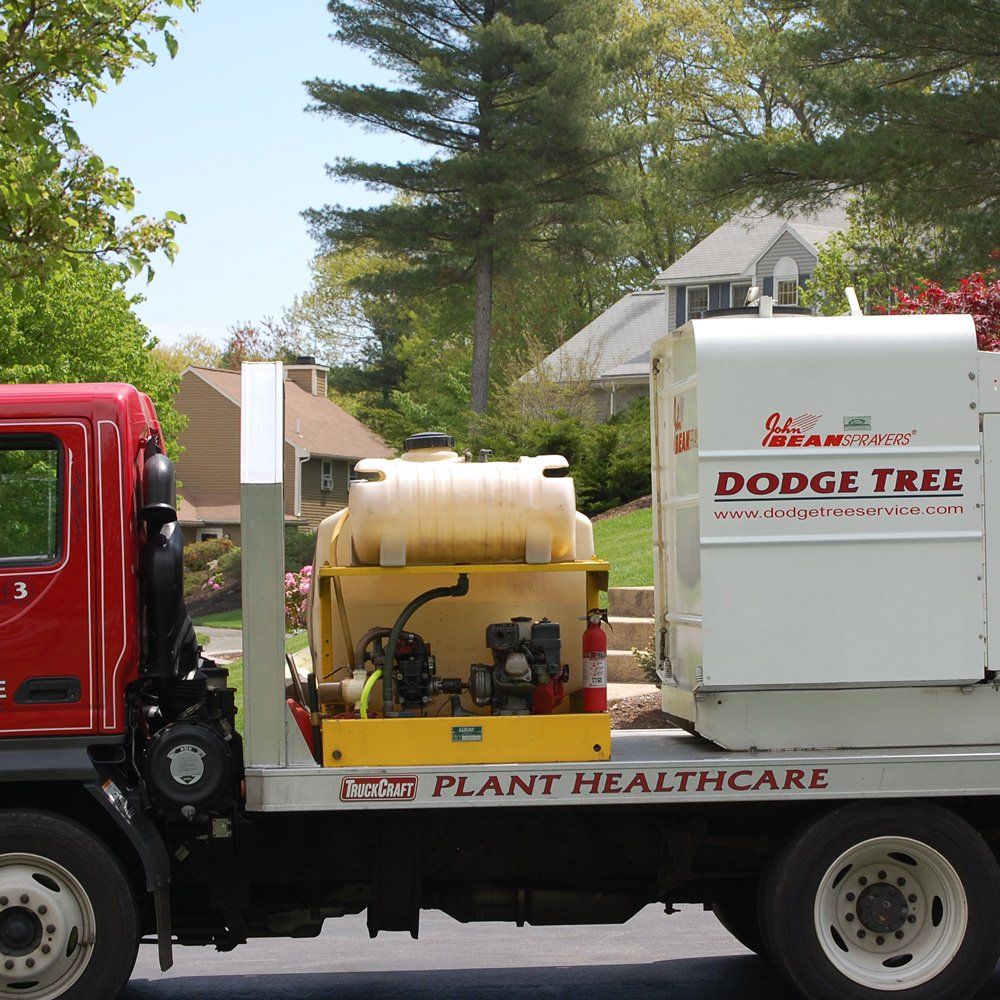 Plant Healthcare — South Hamilton, MA — Dodge Tree Service