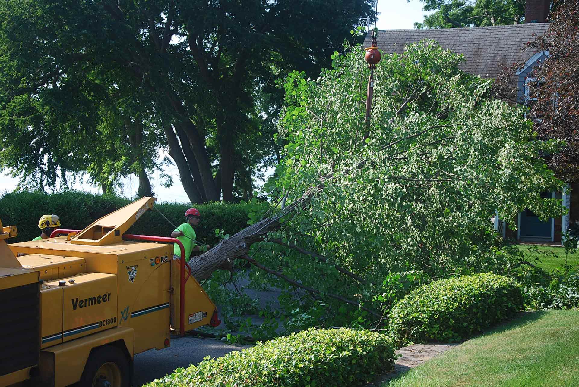 Business Service Vehicle — South Hamilton, MA — Dodge Tree Service Business Service Vehicle — South Hamilton, MA — Dodge Tree Service