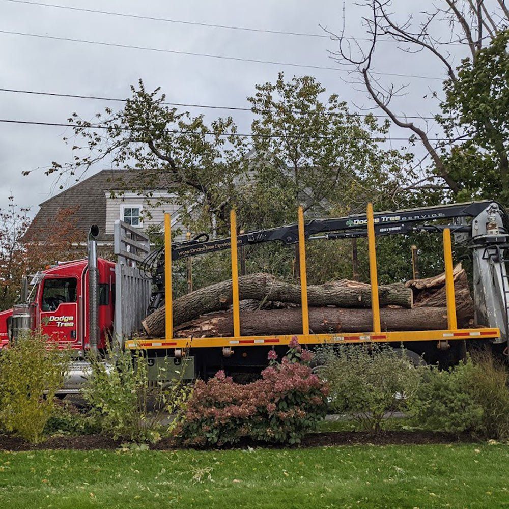 Truck With Tree Logs — South Hamilton, MA — Dodge Tree Service