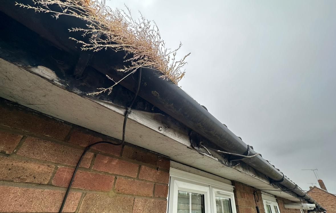 Gutter Cleaning Before and After