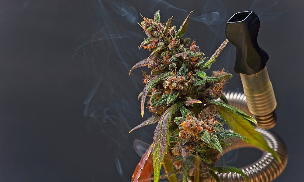 cannabis flower vape