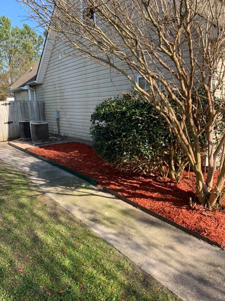 A sidewalk leading to a house with red mulch and trees.